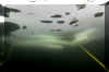 ice-course-05-mar-2006-15.jpg (124359 bytes)